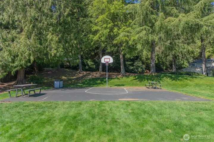 Neighborhood picnic area and sport court.