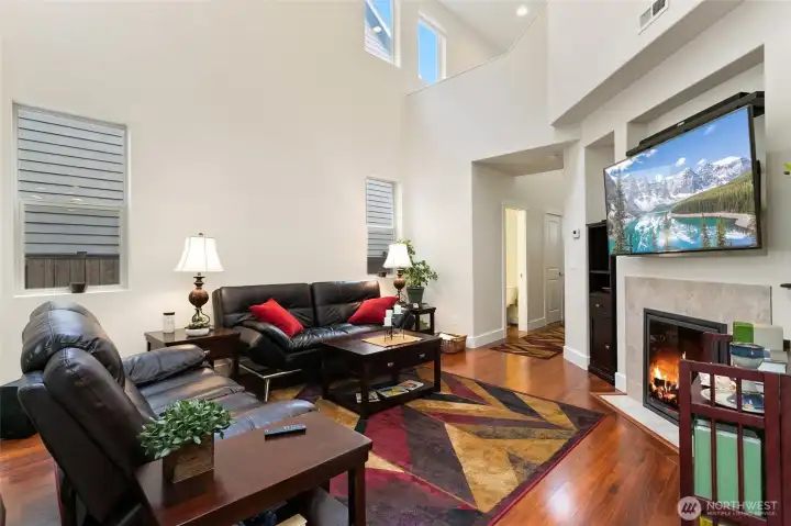 gas fireplace gas fireplace