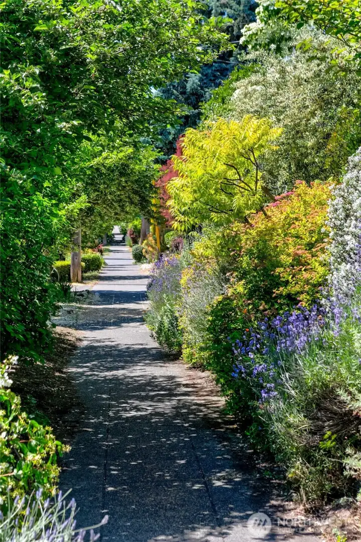 Beautiful mature landscape is easy to maintain and full of joy. Beautiful mature landscape is easy to maintain and full of joy.