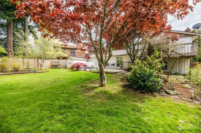 Rarely do you find homes with such a spacious, private, level yard.  Entertaining decks, patio space, gardens, storage shed, mature landscaping,  all fully fenced for your comfort & convenience.