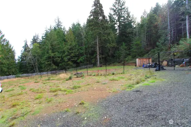 Looking Southeast from the driveway across the fenced area.