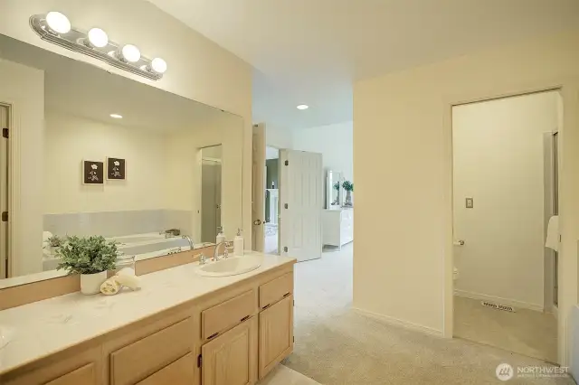 Another view of the Ensuite bath.  A large walk-in closet is also featured in this area.
