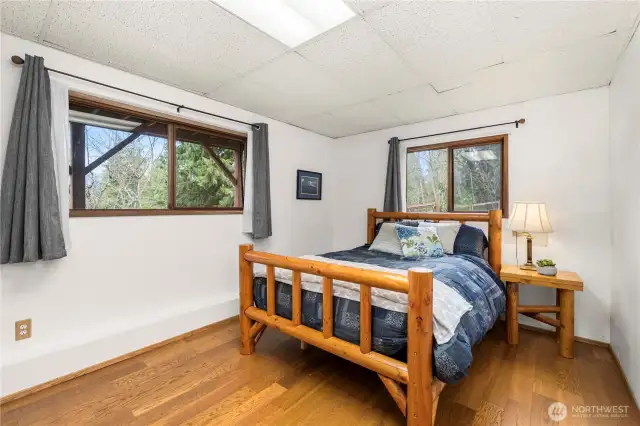 1 of 2 lower level bedrooms.