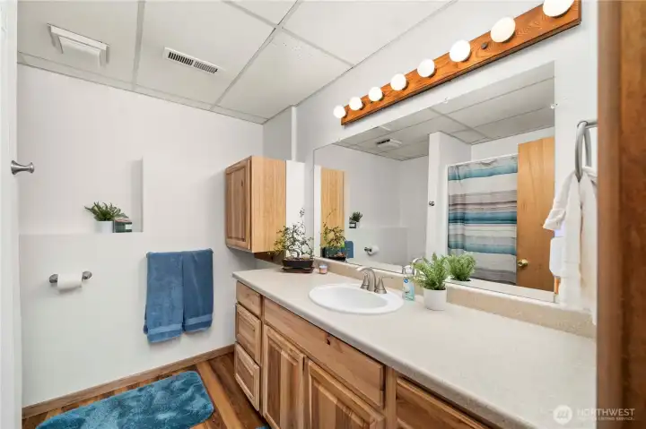 Lower level full bathroom with updated vanity.