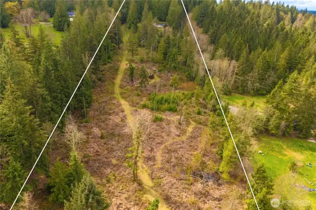 Middle part of the property showing the road that travels from the home to the pastures. This area can be left wooded for a nice privacy buffer or you can add more roads and trails for ATV fun. You could also clear this area to add additional pastures!