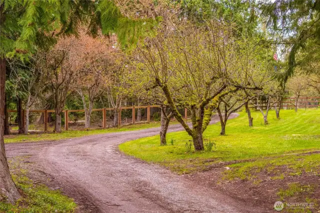Long driveway drives through your very own mature orchard with apple, cherry and plum trees.