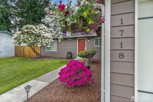 The foliage is blooming and blossoming, adding amazing curb appeal.