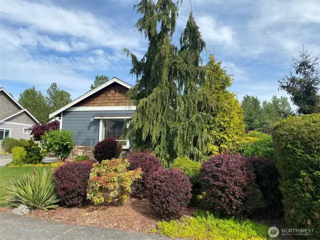 Mature landscaping