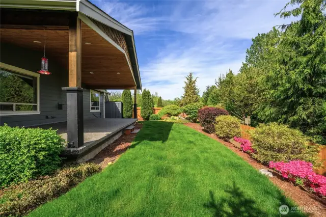 Private backyard