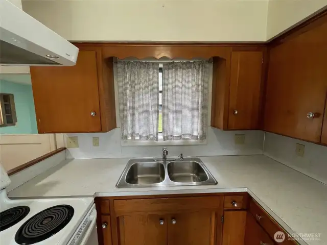 Kitchen sink window looking into backyard