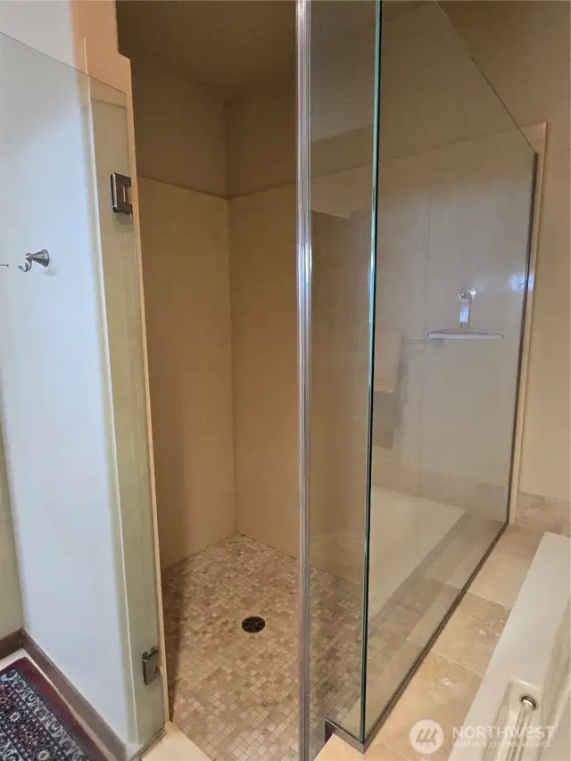 Large shower in primary suite