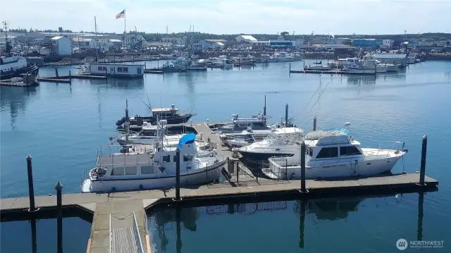 Summer at the docks!