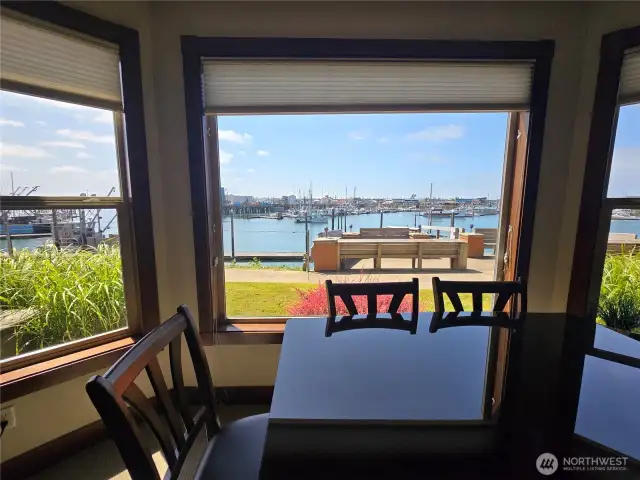 View out the living room