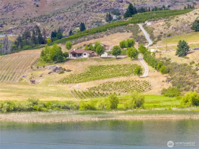 AGRICULTURE & LAND  • Vineyard (Approx. 2.6 Acres)  o .9 acre Alvarinho grape vines (newly planted)  o 1.2 acre Tempranillo vines (7 years old)  o .5 acre trellis and ag water infrastructure ready for expansion  • Other Crops & Trees  o ~340 mature Chandler & Legacy blueberry bushes (1/10 acre)  o 9 mature fruit trees (apricots, peaches, nectarines, plum, prune)  o 3 young English walnut trees (4 years old)  • Livestock Potential  o ~3 acres flat land ideal for horses, with electricity and potable water access.      Chelan County vineyard property    Washington state acreage home    Rural luxury home with vineyard    Smart home on acreage    Horse property with shop    Home with detached garage and shop    EV-ready rural estate    Homestead-ready property Washington    Lake view estate for sale