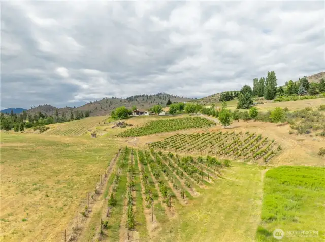 “Live the Vineyard Dream on This EV-Ready Lakeview Retreat”