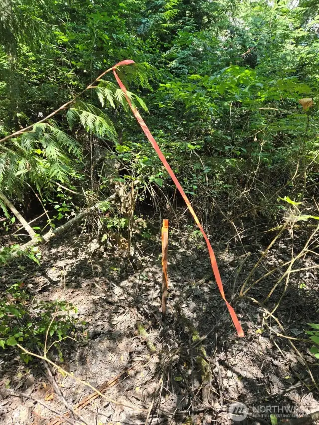 Northeast property corner