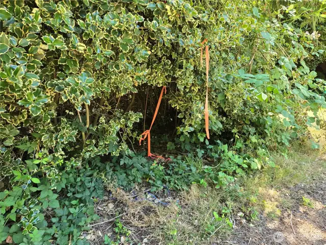 Northwest property corner