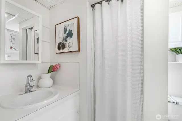 Lower level bath with shower
