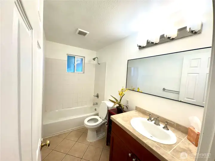 lower level bathroom