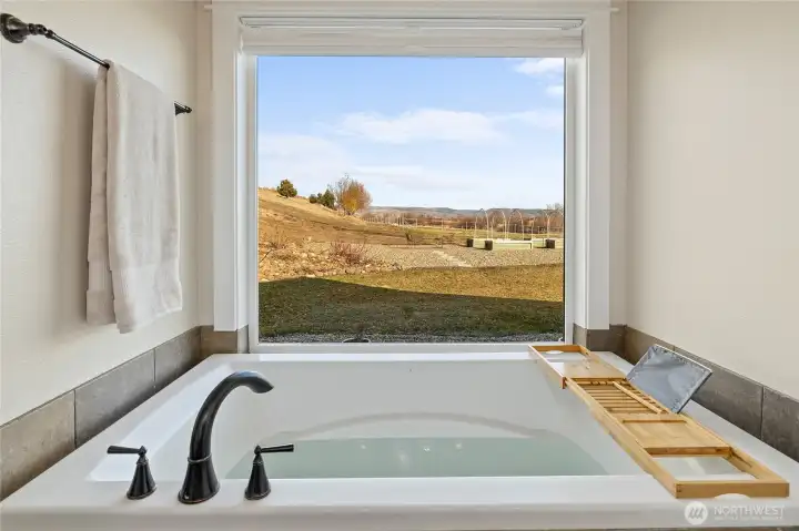 Enjoy the view while you soak in the primary bath.