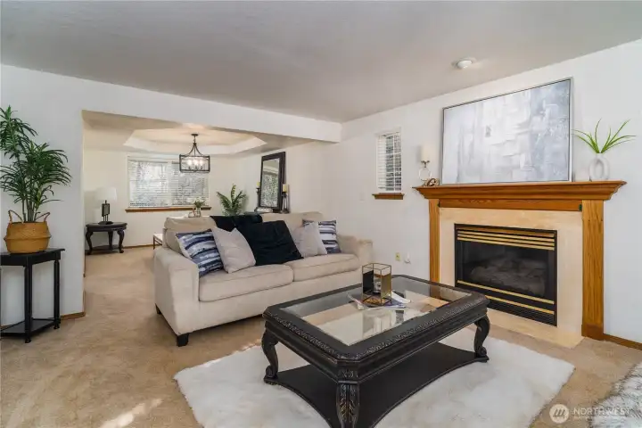 Gas fireplace in living room