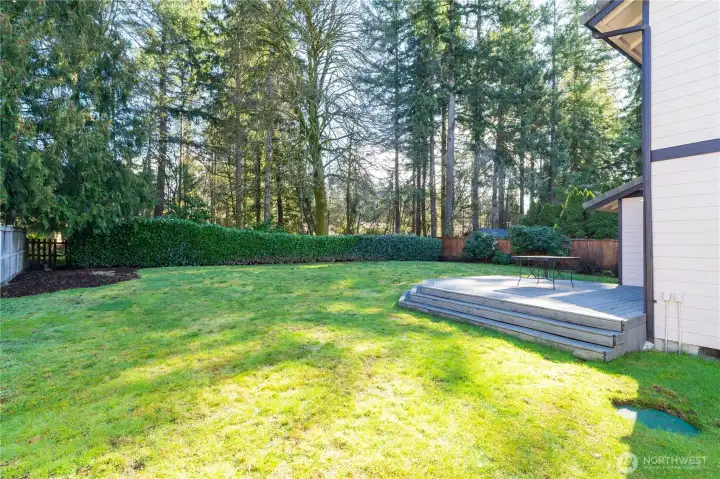 View of back yard/deck from side of home. Trees line the greenspace in between homes on the next street.