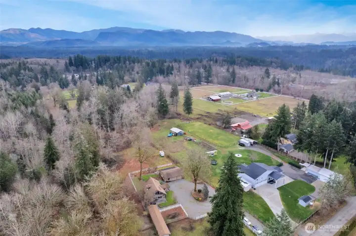 Mt Rainier Views from the Property (When She's Out;)