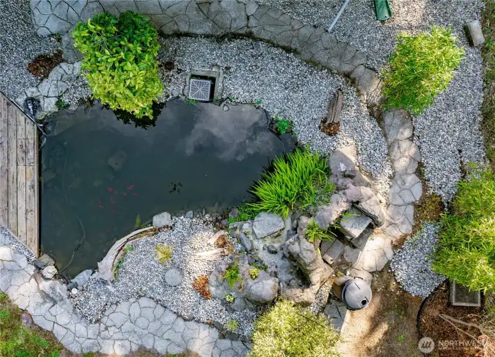 Koi Pond