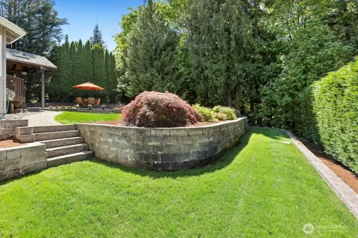 Lower terraced lawn area