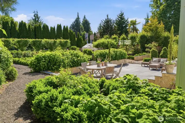 Formal boxwood parterres accented with lavender and allium are complemented by pleached hornbeam.