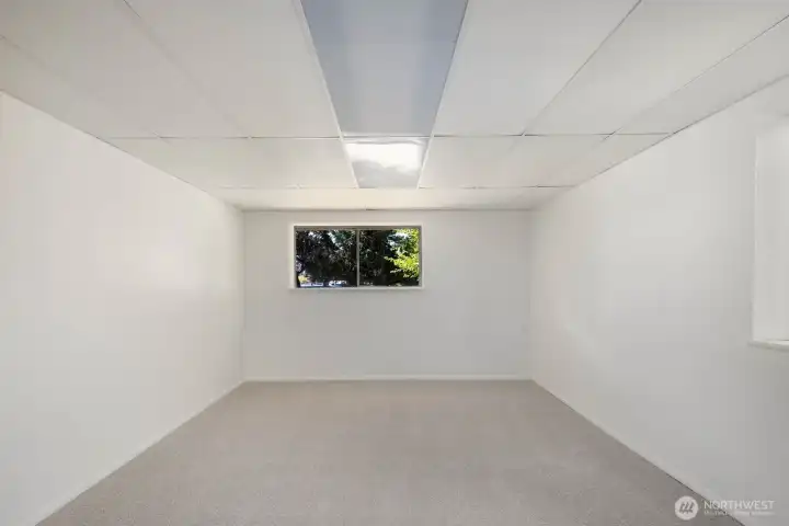 Finished daylight basement