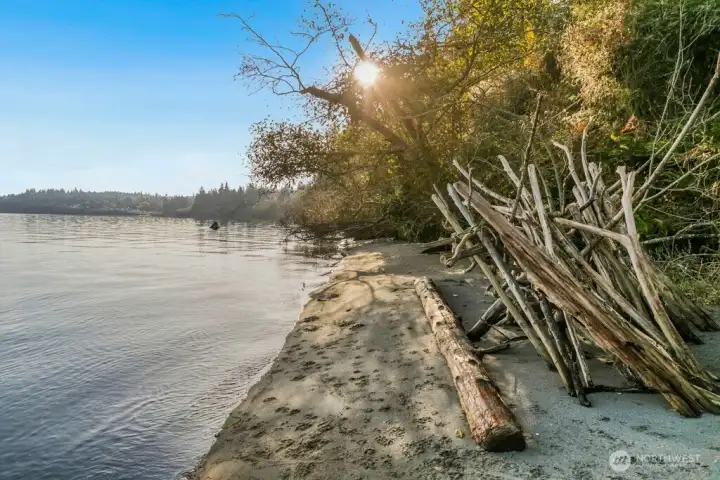 Tide is up and the shoreline is still inviting. Tide is up and the shoreline is still inviting.