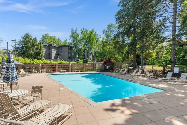 An outdoor pool offers a place to cool off from the heat waves of the summer.