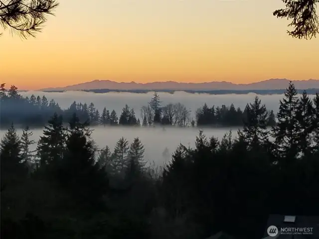 Morning fog over Henderson Bay