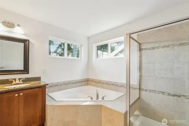 Large shower plus luxurious soaking tub.