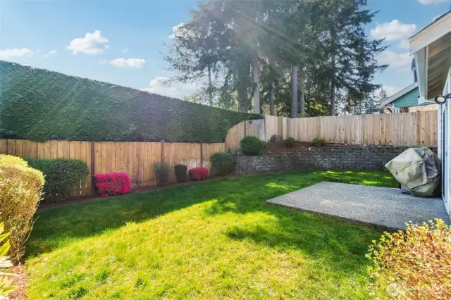 Fully fenced, irrigated garden beds, and gas grill included