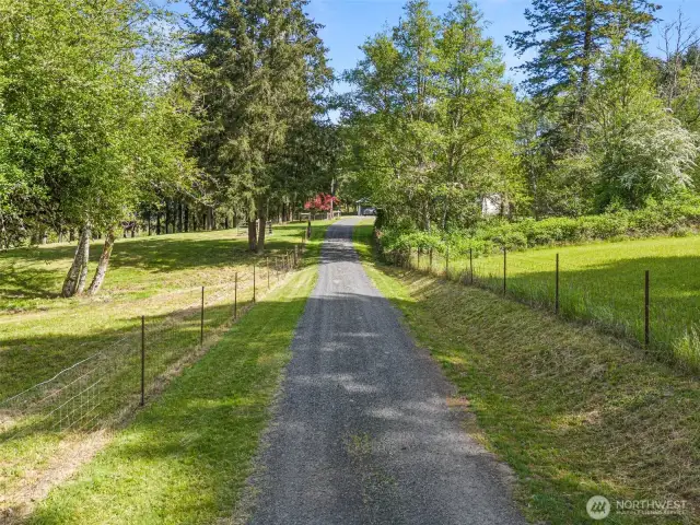 Driveway entering from McGlaughlin Road.