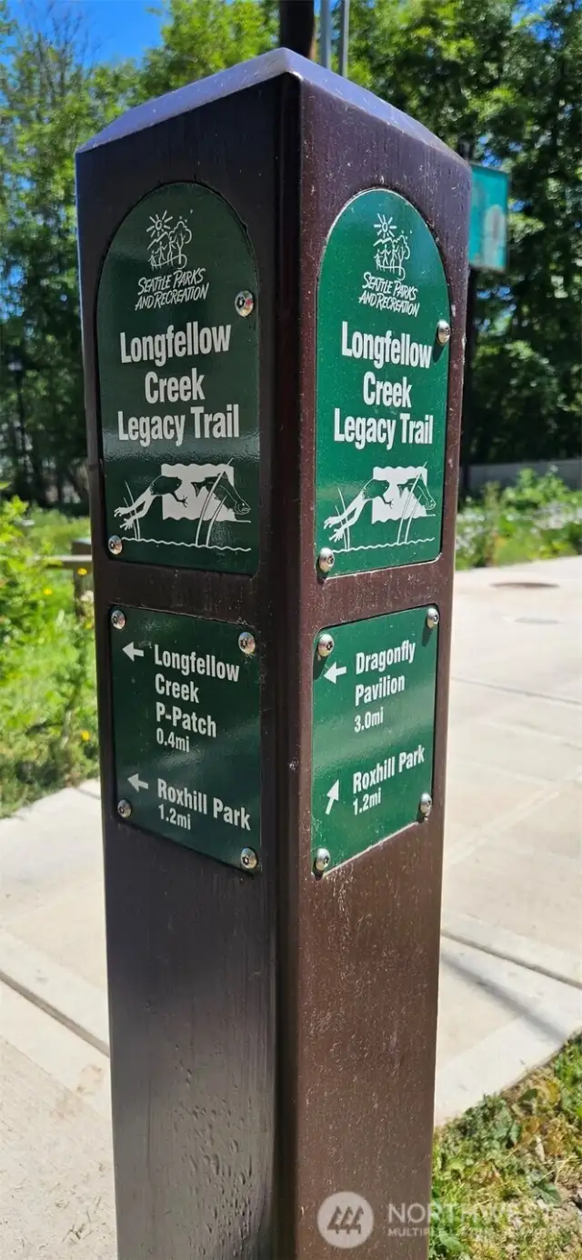 Longfellow Creek is a 3.5 mile tributary of the Duwamish River and one of only two tributaries that still support spawning salmon. It's in your own backyard-go discover it!