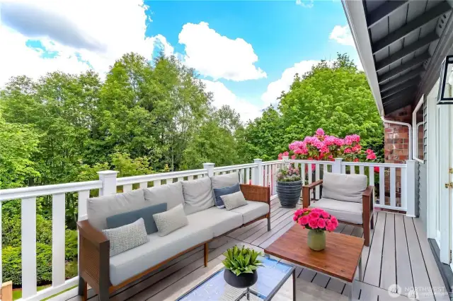 Wrap around patio deck with private, serene views.