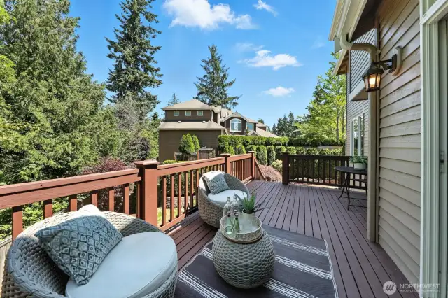 Deck off Greatroom
