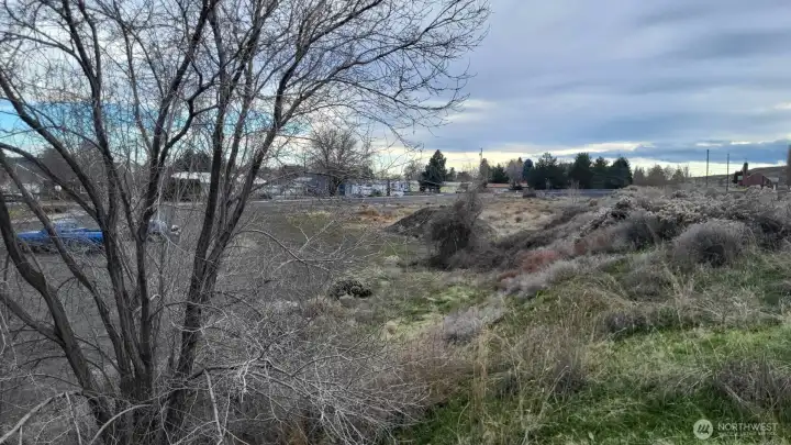 Also from far NW corner of lot looking South from canal bank