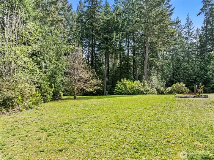 Expansive yard/acreage