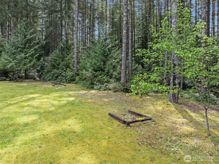 Horse shoe pits!