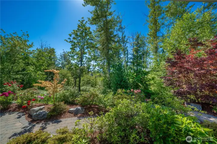 Beautiful vistas, extensive hardscape and easy care backyard. Beautiful vistas, extensive hardscape and easy care backyard.