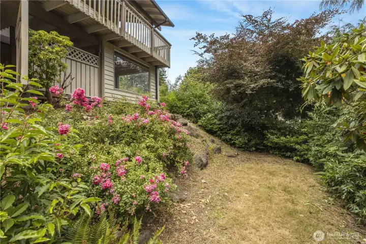 Backyard. Backyard.
