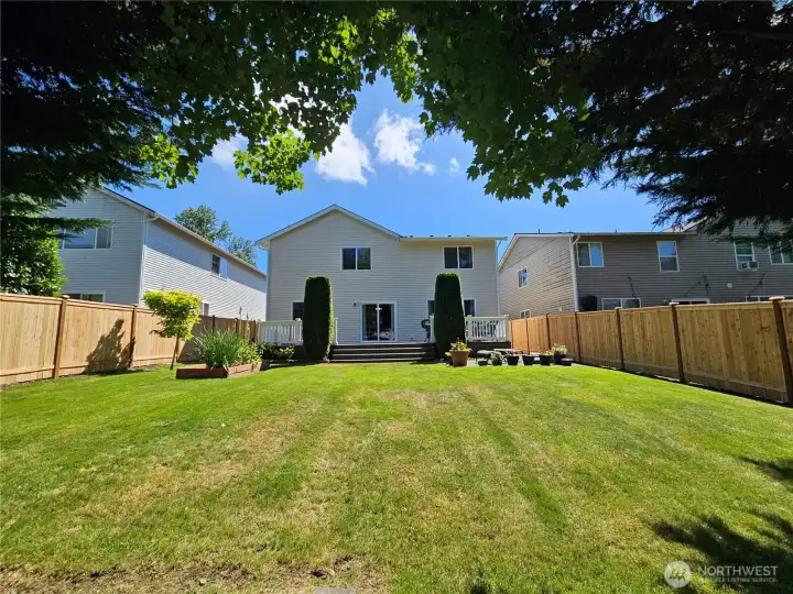 Big beautiful back yard Completely fenced, New Fence! Big beautiful back yard Completely fenced, New Fence!