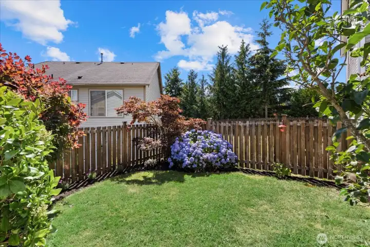 Fully fenced back yard