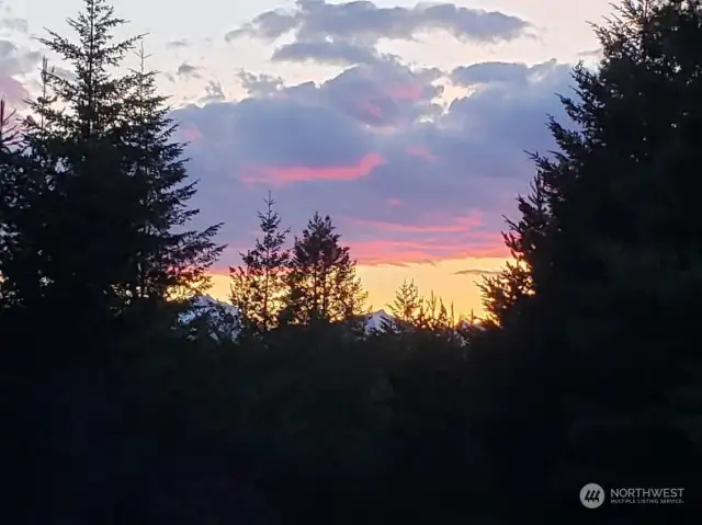 Looking to the West from the property at the Olympic Mountains barely poking above the trees.