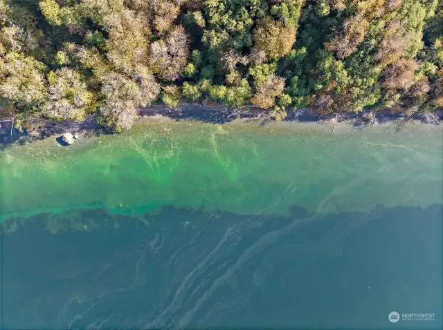 Hood Canal Blue