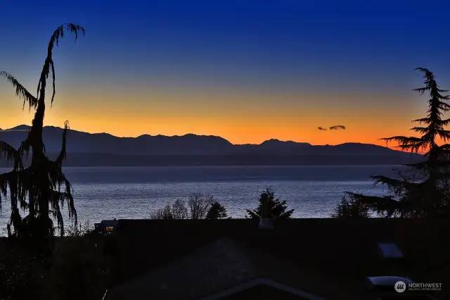 Gorgeous silhouettes of the Olympics and the few grand trees that are part of your view.